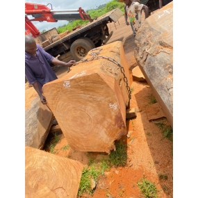 GỖ CÂY NHẬP KHẨU